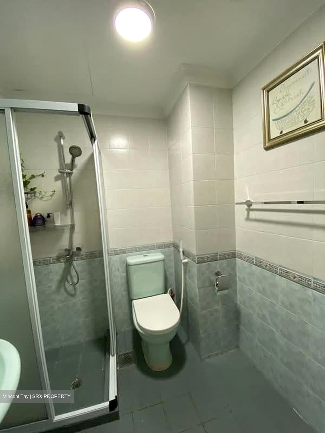 Birmingham Mansions (D11), Apartment #602753901